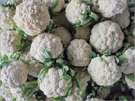 गोभी