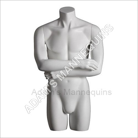 Male Torso
