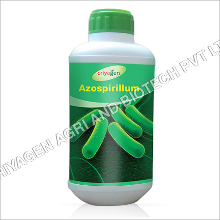 Azospirillum Biofertilizer