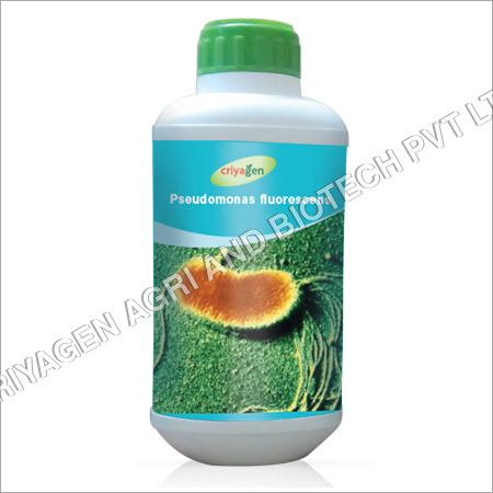 Pseudomonas Fluorescens