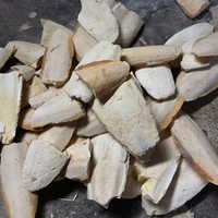 टूटी हुई कटलबोन