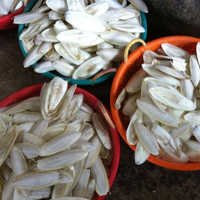 साफ़ किए गए कटलेट फिश बोन