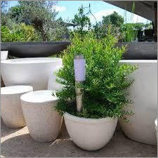 Big Grc Planters Pot