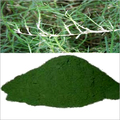 अरुगंपुल घास का पाउडर