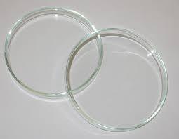 पेट्री डिश