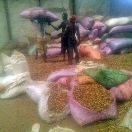 Indian Raw Cashew Nuts