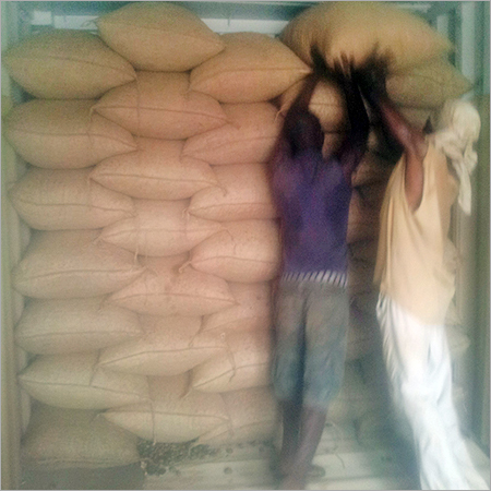 Organic Cashew Nuts
