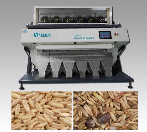 Oats Sorter Machine at Best Price in Hefei, Anhui Province | Anhui ...