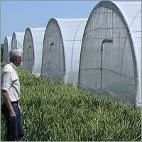 Geotextile Net