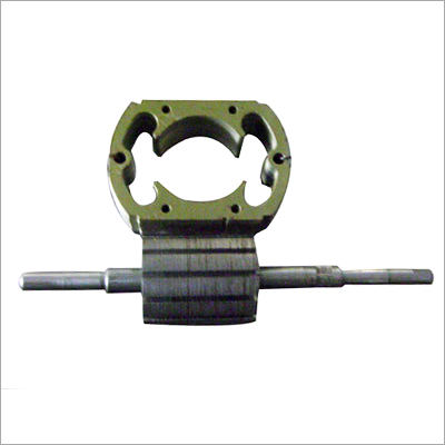 मिक्सी स्टंपिंग