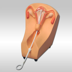 IUD Training Simulator