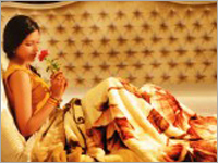 भव्य मिंक कंबल