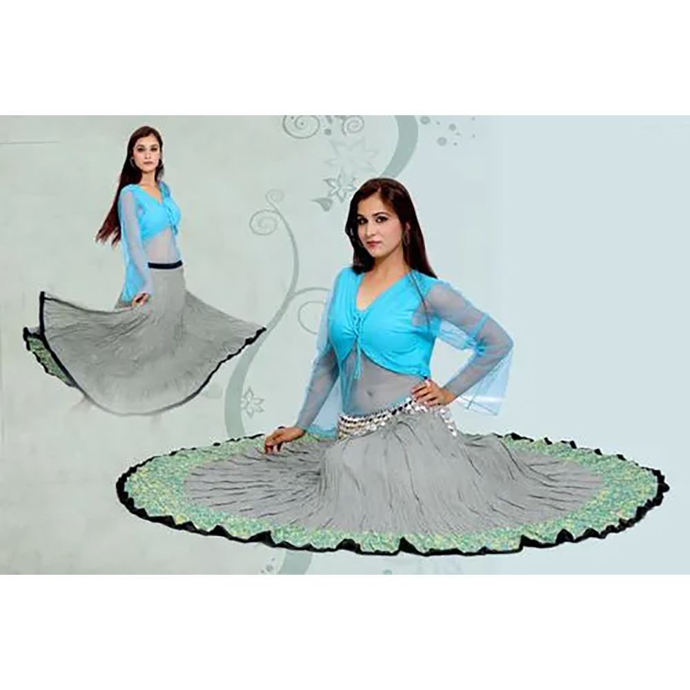 Blue And Gray Summer Wear Belly Dance Costume