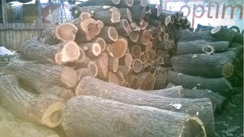 लकड़ी की लॉग