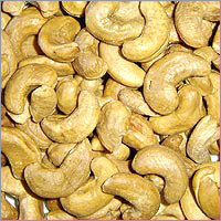 Cashew