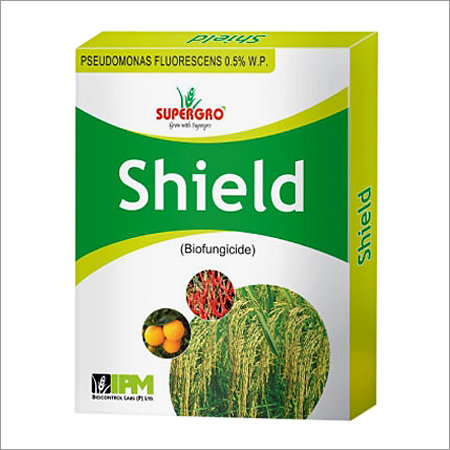 शिल्ड