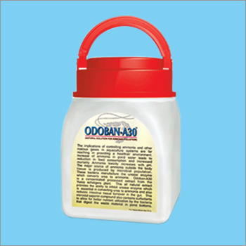 Odoban-A30