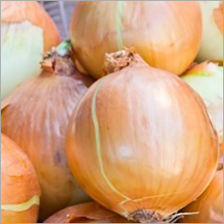 ताज़ी लाल प्याज़