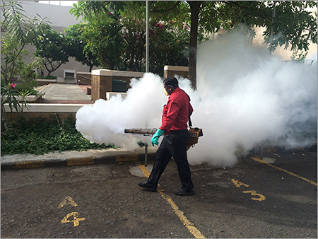 Residential Pest Control Services