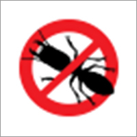 Termite Terminator Treatment