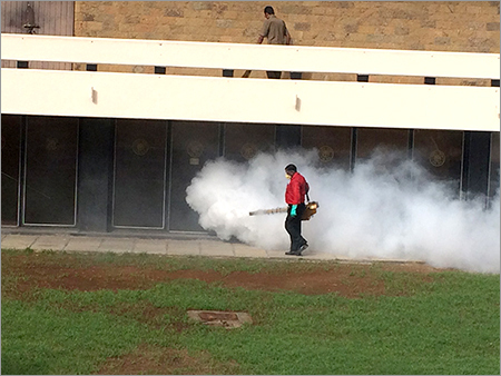 Mosquito Control Fogging Services