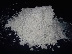 Diatomaceous Earth Powder