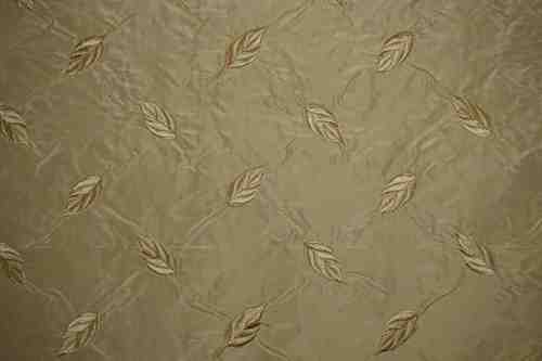 टौप लीफ़ा