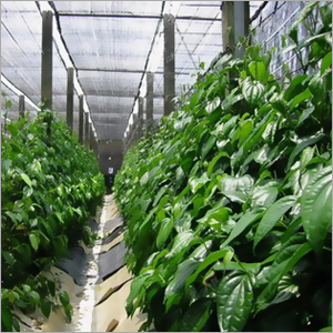 Greenhouse Shade Net