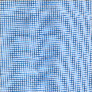 Window Screen