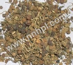 Pitpapra Extract