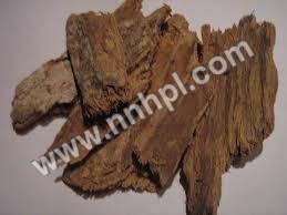 Mango Bark