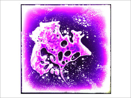 पारदर्शी डिज़ाइनर टाइल्स