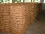 Coir fiber
