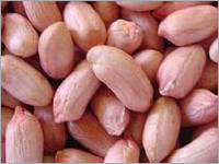 मूँगफली का कर्नेल