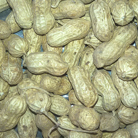 कच्चा मूंगफली