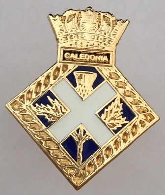 Pantone Gold Cufflink