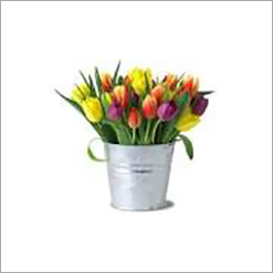 ताजा फूल