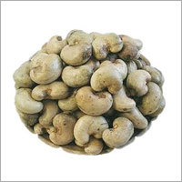 Raw Cashew Nut Processing Type: Fresh