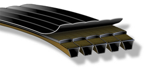 Banded Belts