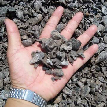 Palm Kernel Shell