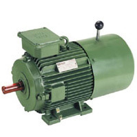 Industrial Brake Motor