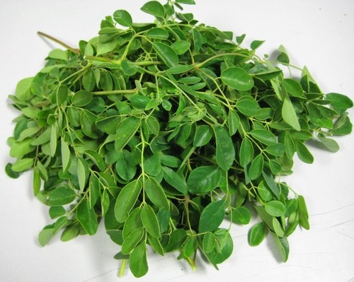 Moringa leaves