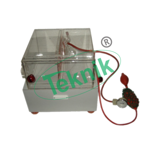 Histamine Chamber - Color: Grey