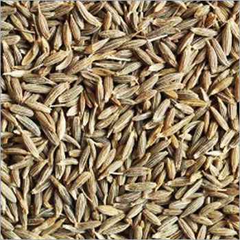 Brown Cumin Seeds - Dried Seeds Of Cuminum Cyminum, Brown Color | Longer Shelf Life, Pure Quality, Free From Adulteration, Store In Dry Place