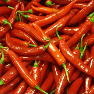Red Chilli - Rich Red Color, Aromatic Flavor | High In Vitamins A, B, C, E, Manganese, And More
