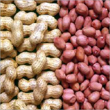 Raw Groundnut
