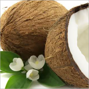 Common Fresh Indian Coconut