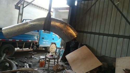 कार्बन स्टील कोहनी मोल्ड