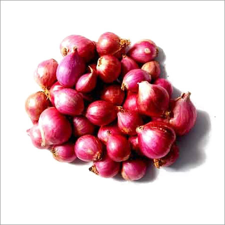 छोटा प्याज