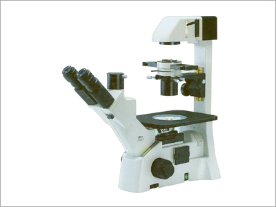 Inverted Microscope